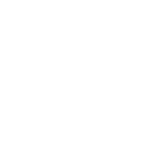 Logo Aytholier Custom